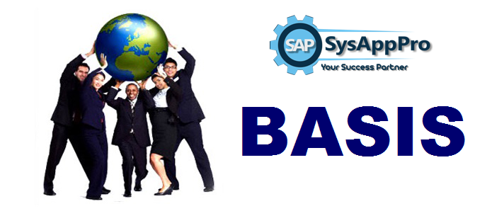 Best SAP Basis training institute in Gurgaon